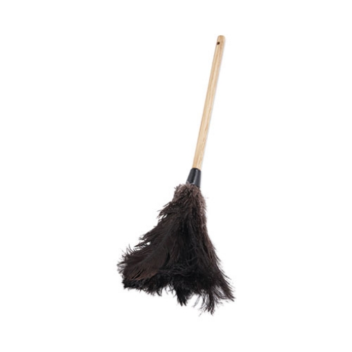 Picture of Professional Ostrich Feather Duster, 10" Handle