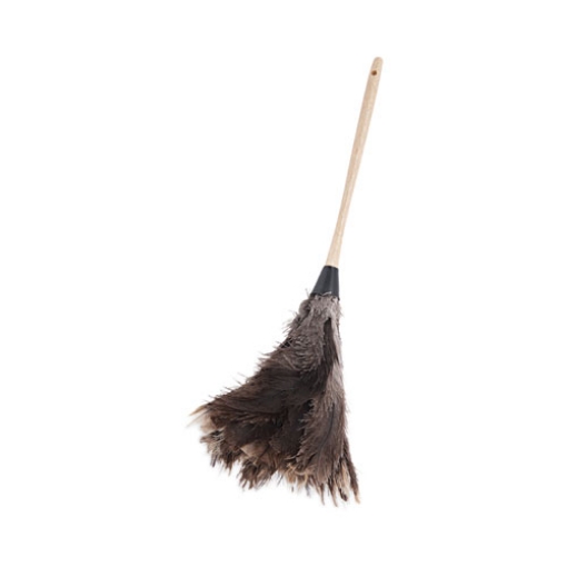 Picture of Professional Ostrich Feather Duster, 13" Handle