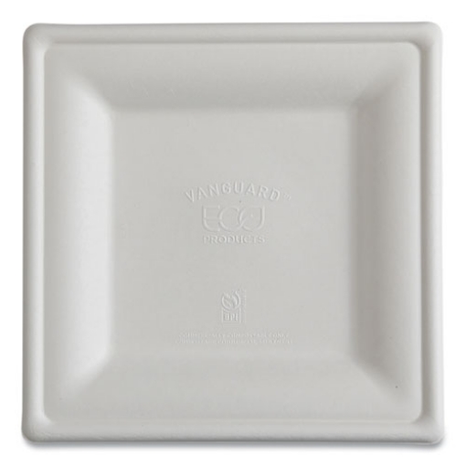 Picture of Vanguard Renewable and Compostable Sugarcane Plates, 10 x 10, White, 250/Carton