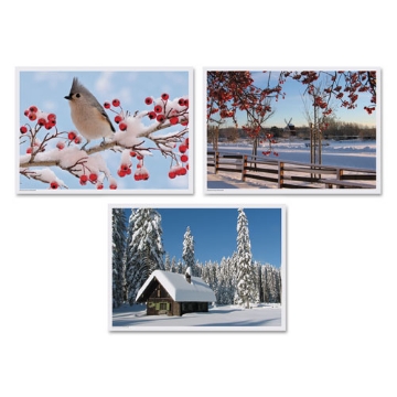 Picture of Winter Multi-Pack Placemats, 10 X 14, Three Different Scenes, 1,000/carton