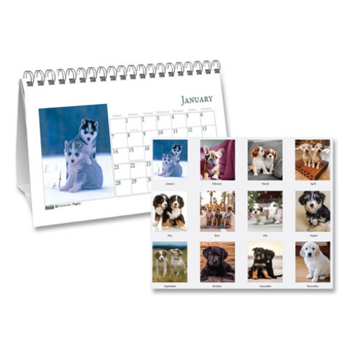 Picture of Earthscapes Recycled Desk Tent Monthly Calendar, Puppies Photography, 8.5 x 4.5, White Sheets, 12-Month (Jan to Dec): 2024