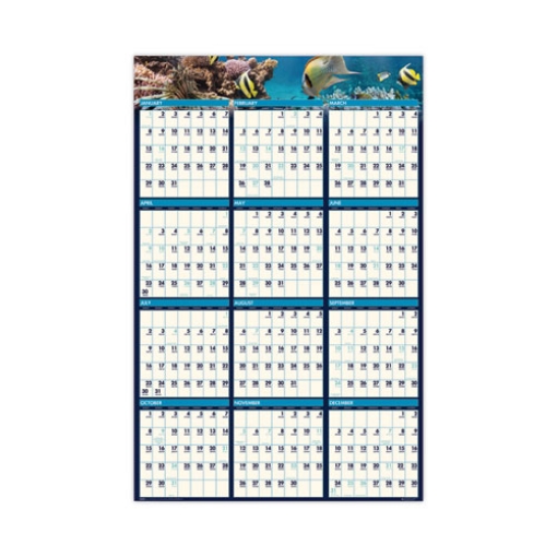 Picture of Earthscapes Recycled Reversible/Erasable Yearly Wall Calendar, Sea Life Photos, 24 x 37, White Sheets, 12-Month(Jan-Dec):2024