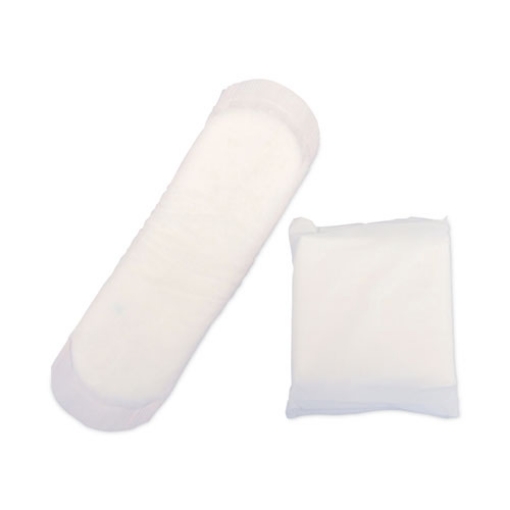 Picture of Generic Packaged Sanitary Pads, Regular Absorbency, 500/Carton