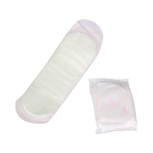 Picture of Generic Packaged Sanitary Pads, Regular Absorbency, 24/Pack, 24 Packs/Carton