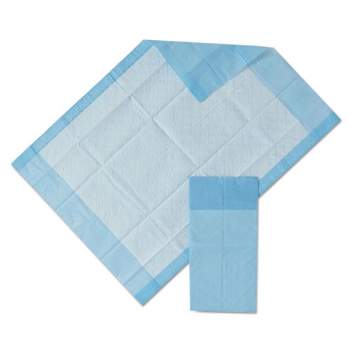 Picture of Protection Plus Disposable Underpads, 17" X 24", Blue, 25/bag