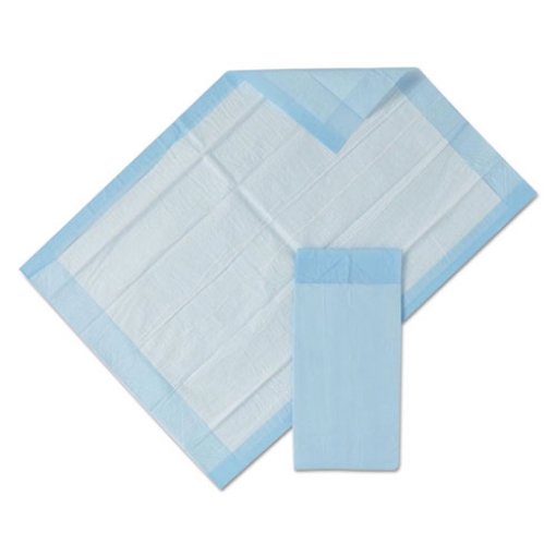 Picture of Protection Plus Disposable Underpads, 23" X 36", Blue, 25/bag, 6 Bag/carton