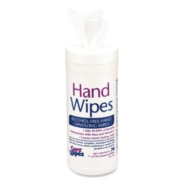 Picture of Alcohol Free Hand Sanitizing Wipes, 8 x 7, White, 70/Canister, 6 Canisters/Carton