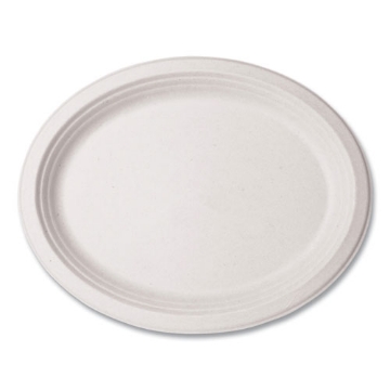 Picture of Molded Fiber Tableware, Platter, 7 x 10 x 1, White, 500/Carton