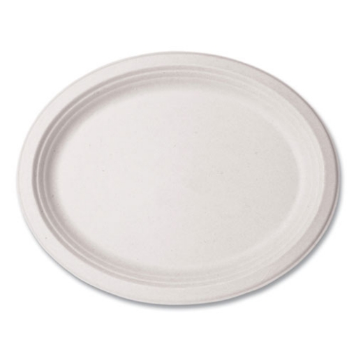 Picture of Molded Fiber Tableware, Platter, 7 x 10 x 1, White, 500/Carton