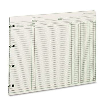Picture of Accounting Sheets, 9.25 X 11.88, Green, Loose Sheet, 100/pack