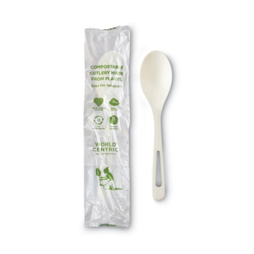 Picture of Tpla Compostable Cutlery, Spoon, 6", White, 750/carton