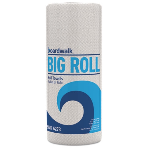 Picture of Kitchen Roll Towel, 2-Ply, 11 X 8.5, White, 250/roll, 12 Rolls/carton