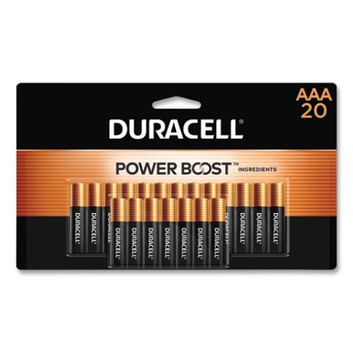 Picture of Power Boost CopperTop Alkaline AAA Batteries, 20/Pack