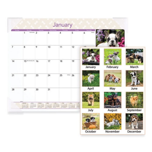 Picture of Puppies Monthly Desk Pad Calendar, Puppies Photography, 22 x 17, White Sheets, Clear Corners, 12-Month (Jan to Dec): 2024