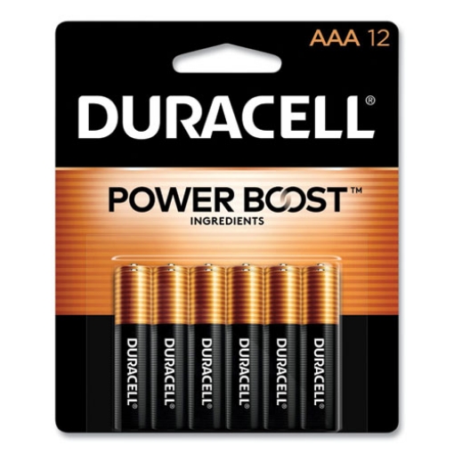 Picture of Power Boost CopperTop Alkaline Batteries, AAA, 12/Pack