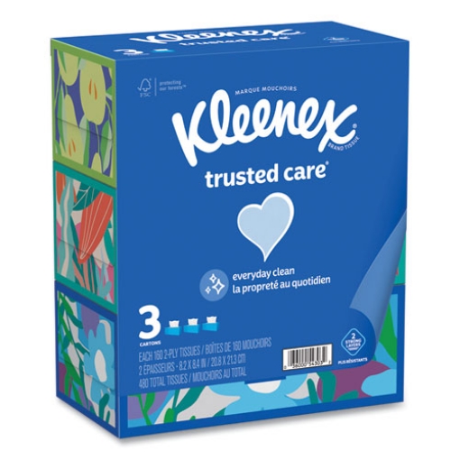 Picture of Trusted Care Facial Tissue, 2-Ply, White, 160 Sheets/Box, 3 Boxes/Pack, 12 Packs/Carton