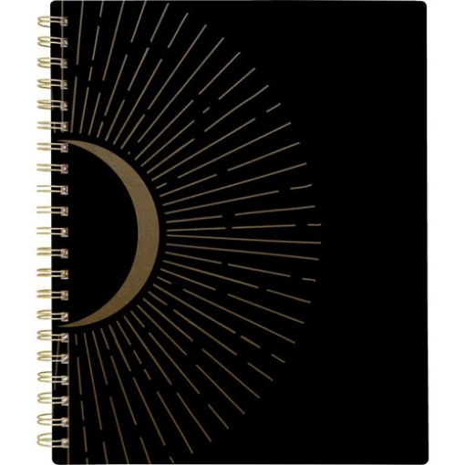 Picture of PLANNER,RADIATE WM LG BLA