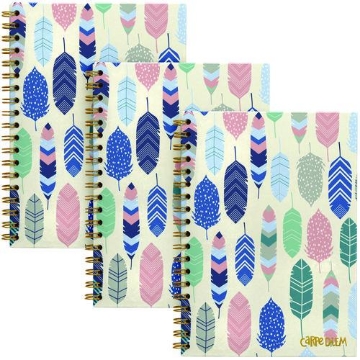 Picture of NOTEBOOK,WIRBND,AST,PK3