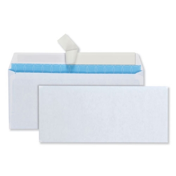 Picture of ENVELOPE,#10 REG ANTI,WE