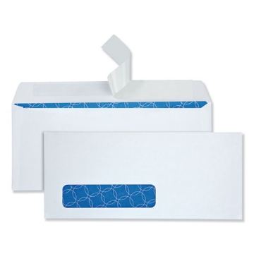Picture of ENVELOPE,#10 WNDW ANTI,WE