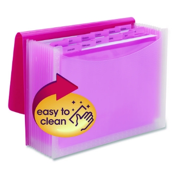 Picture of FILE,ACCRD,12PKT,LTR,PNK
